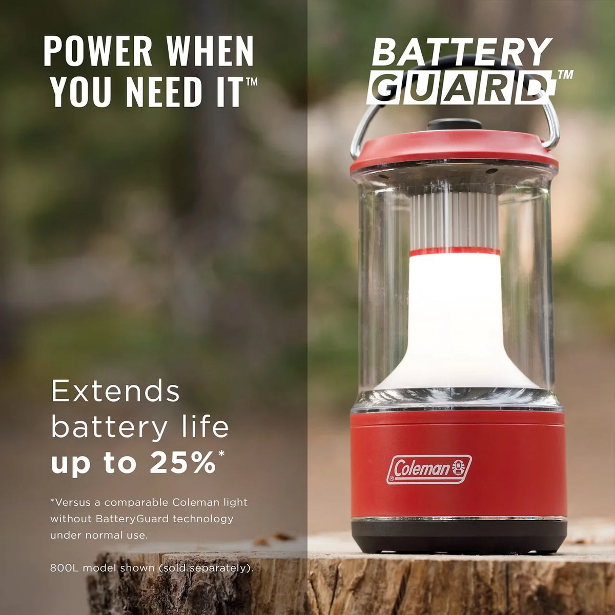1000 Lumens LED Lantern with BatteryGuard™, Green
